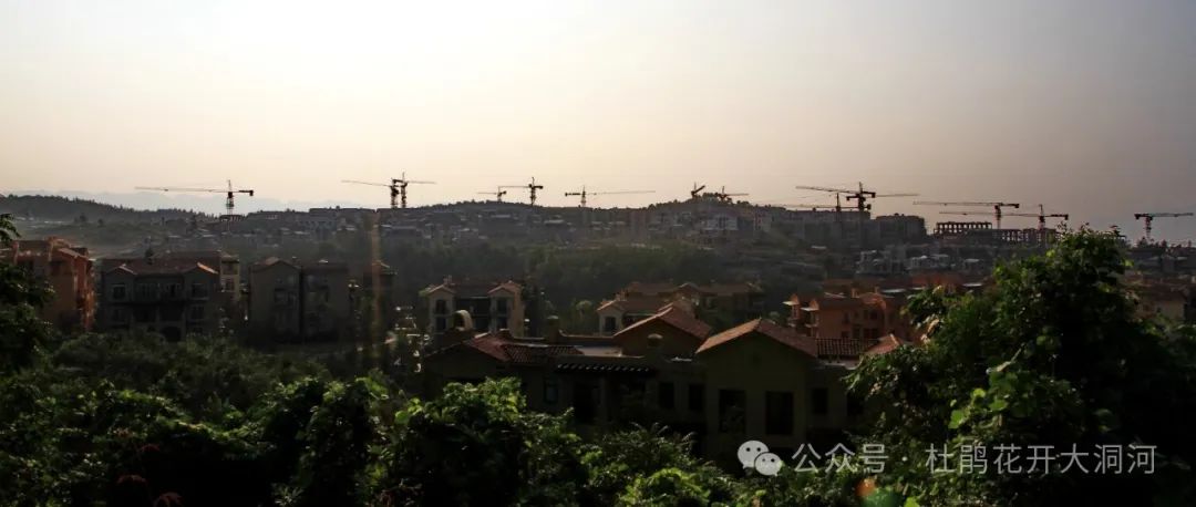 重庆武隆旅游景点仙女山_重庆武隆仙女山旅游攻略_重庆武隆仙女山风景图片