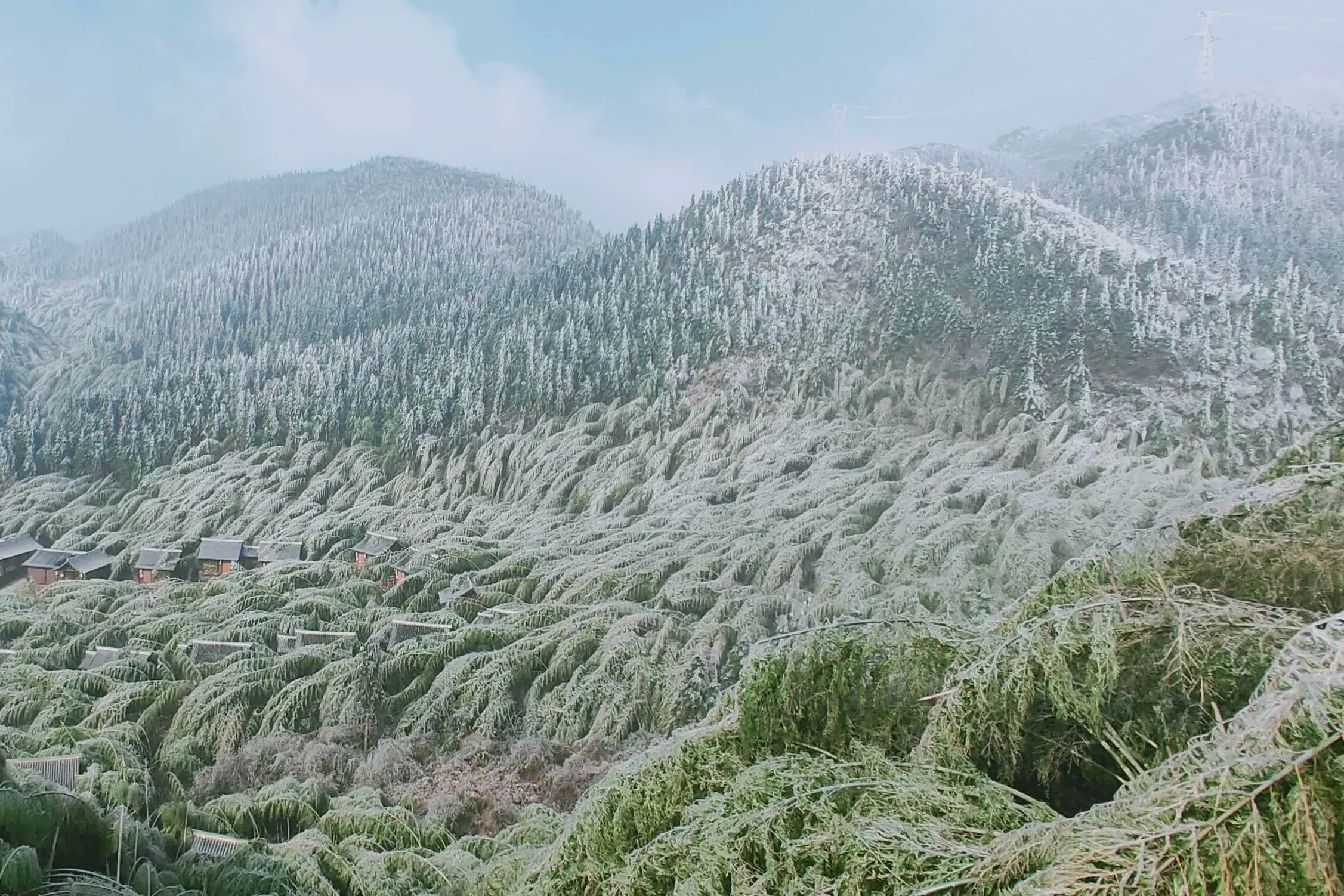 阳明山自然公园_北投阳明山国家公园旅游攻略_阳明山体公园