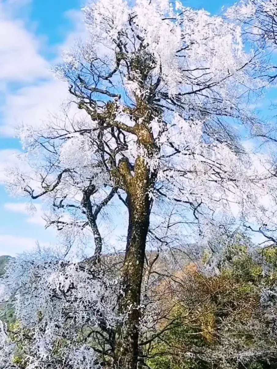 阳明山自然公园_北投阳明山国家公园旅游攻略_阳明山体公园