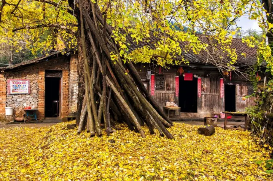 北京到东极岛乘车攻略_北京到东极岛旅游攻略_东极岛自由行攻略