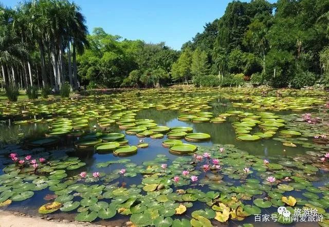 云南攻略旅游穷游哪里好玩_云南穷游旅游攻略_云南穷游