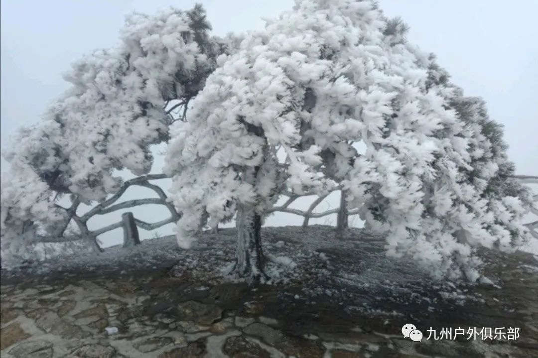 江西武功山旅游攻略_江西景点武功山_江西省武功山旅游景点