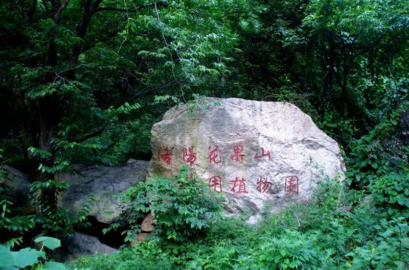 洛阳龙门票价_洛阳龙隐景点_洛阳龙隐旅游攻略