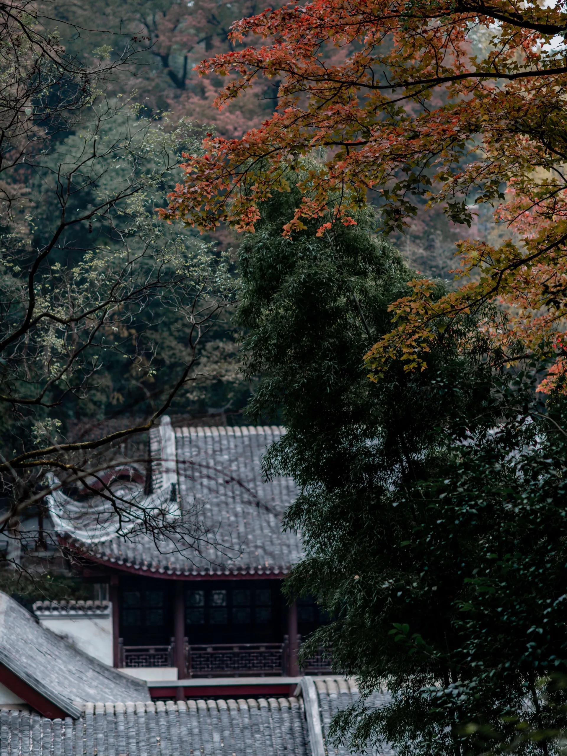 长沙岳麓山门票价格_长沙岳麓山旅游攻略_长沙岳麓山景点简介