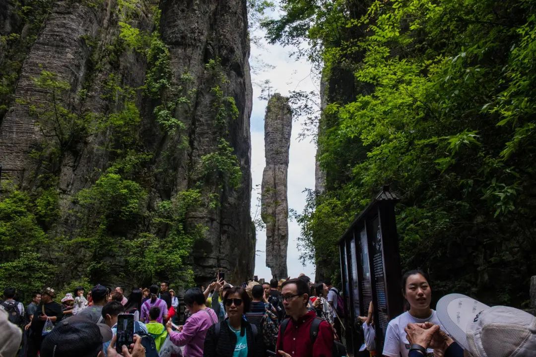 恩施屏山景区介绍_恩施屏山旅游攻略_攻略恩施旅游屏山路线