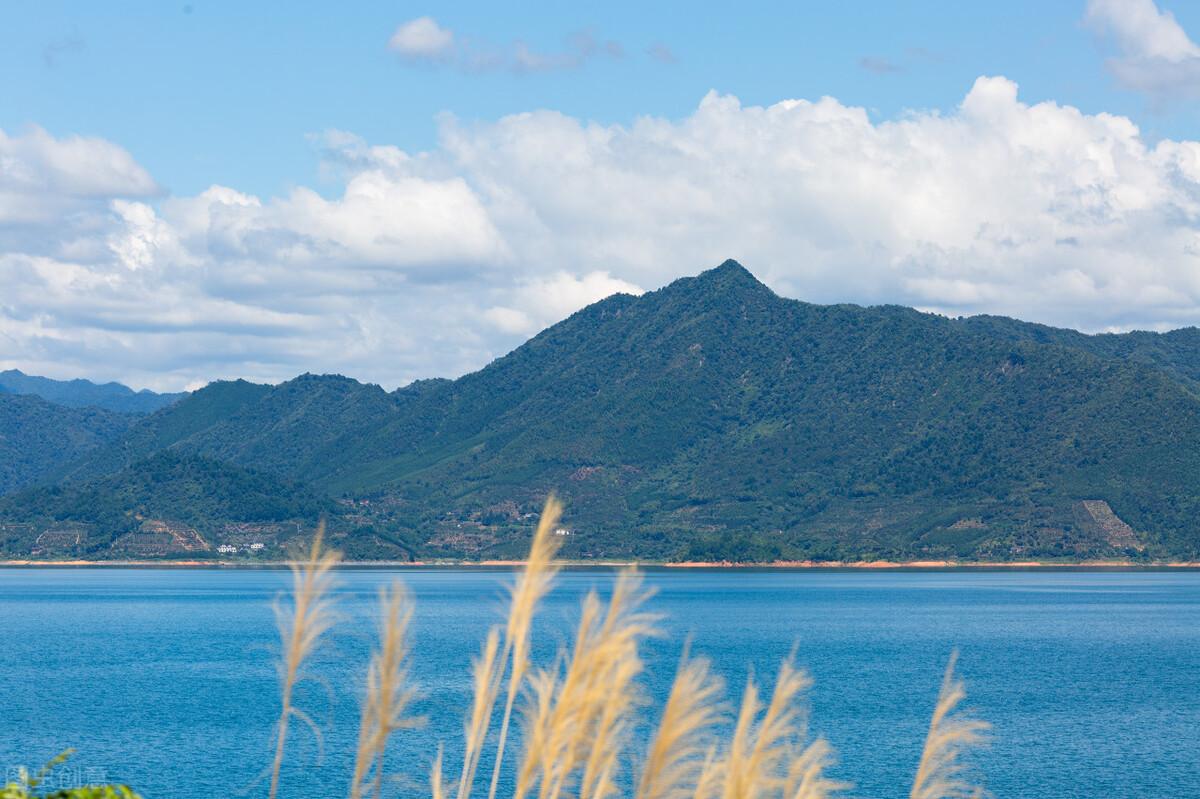 东江水库面积多大_东江水库库容_东江水库旅游攻略