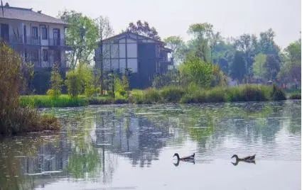 安仁古镇旅游攻略_古镇攻略旅游安仁路线_安仁古镇游记