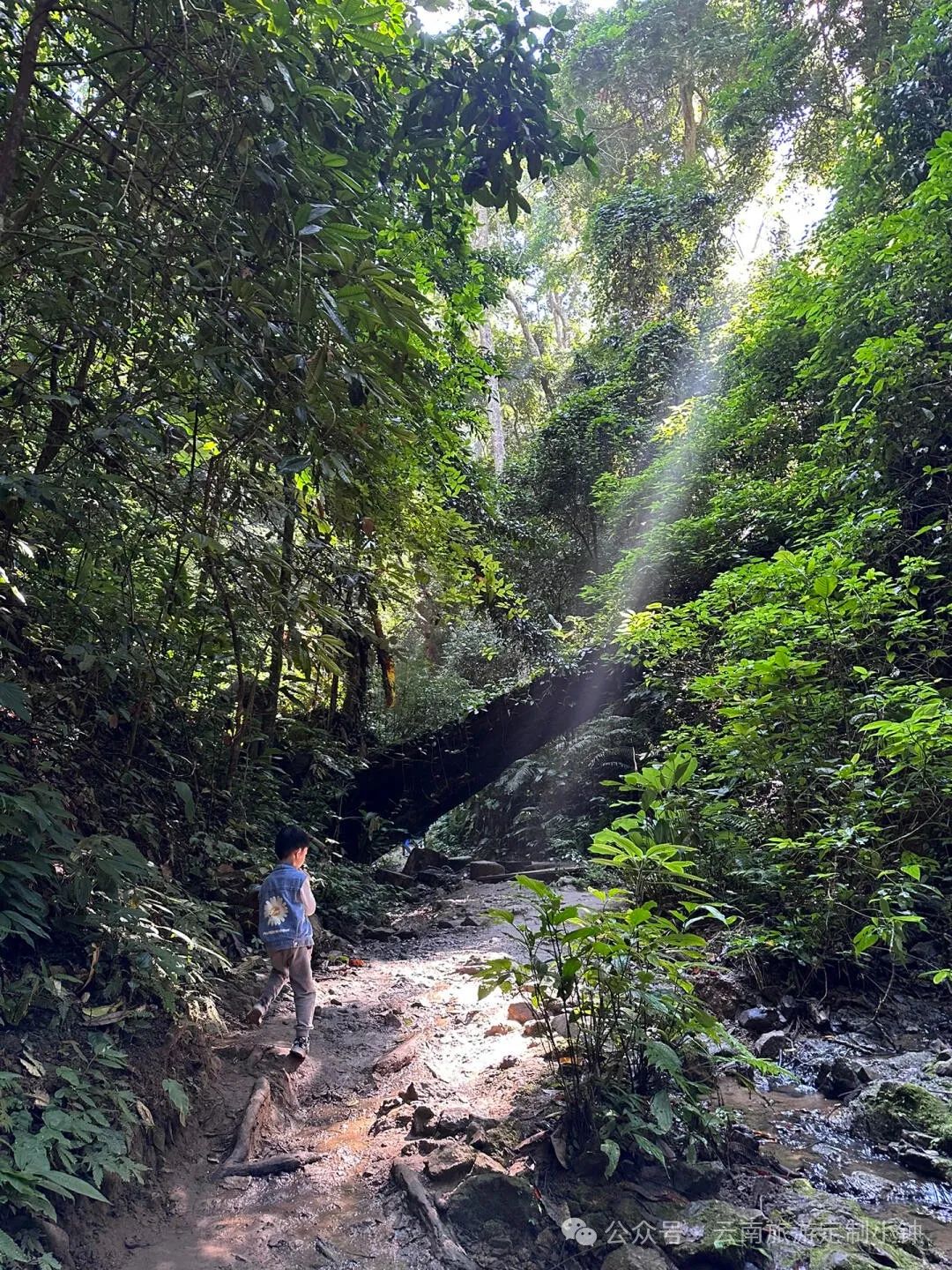 大理双廊旅游攻略必去景点_云南大理双廊旅游攻略_大理双廊攻略自由行