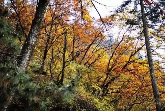 甘肃酒泉旅游必去十大景点_甘肃酒泉一日游_甘肃酒泉旅游攻略