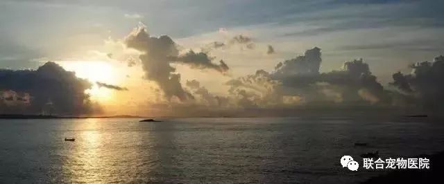 花都小镇一日游_花都小镇_花都欧洲小镇旅游攻略