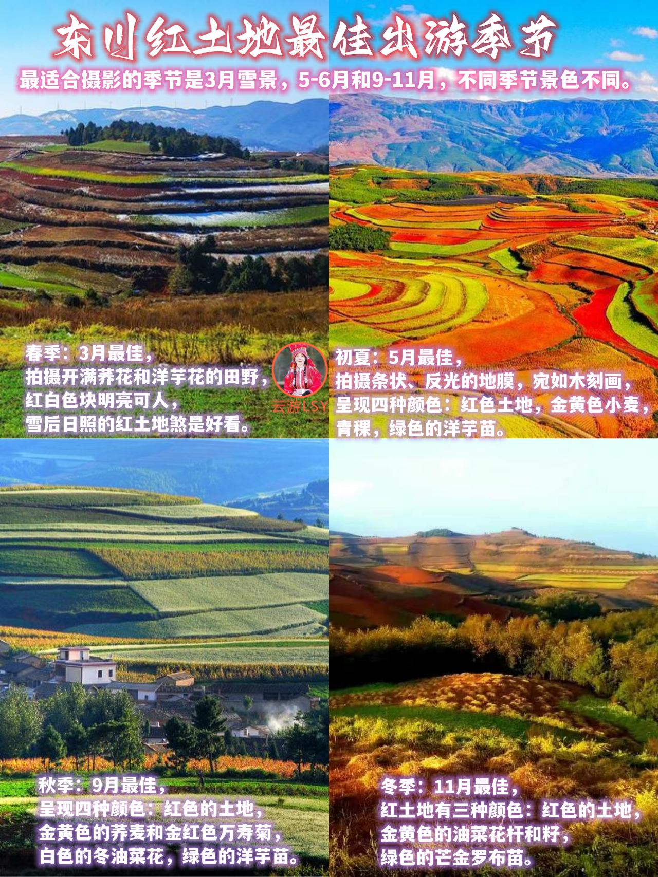 云南东川红土地旅游攻略_云南东川红土地景区_云南东川红土地最佳旅游季节