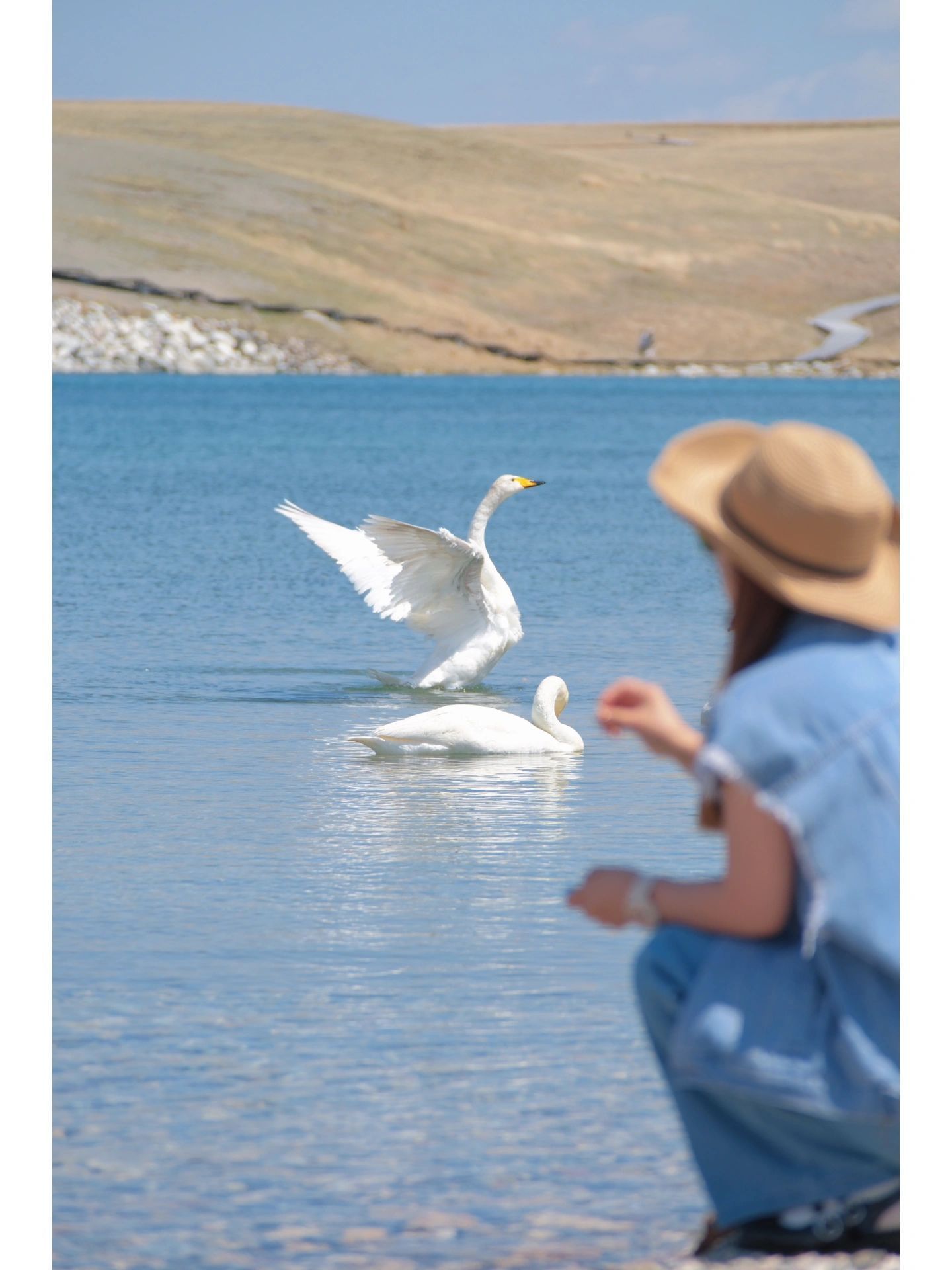 赛里木湖旅游攻略_游览赛里木湖_赛里木湖旅拍