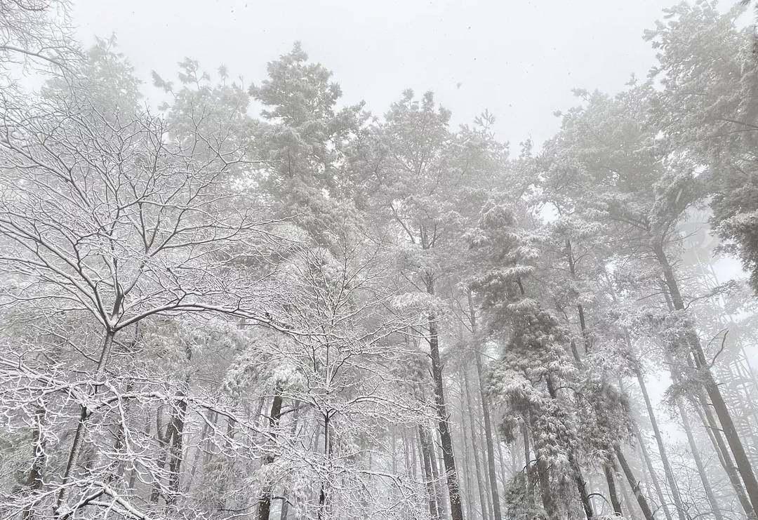 四姑娘山冬季旅游攻略_四姑娘山冬季旅游攻略_四姑娘山冬季旅游攻略