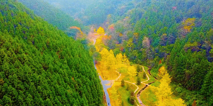 南昌到赣州旅游攻略_赣州到梅州旅游攻略_赣州南雄旅游攻略