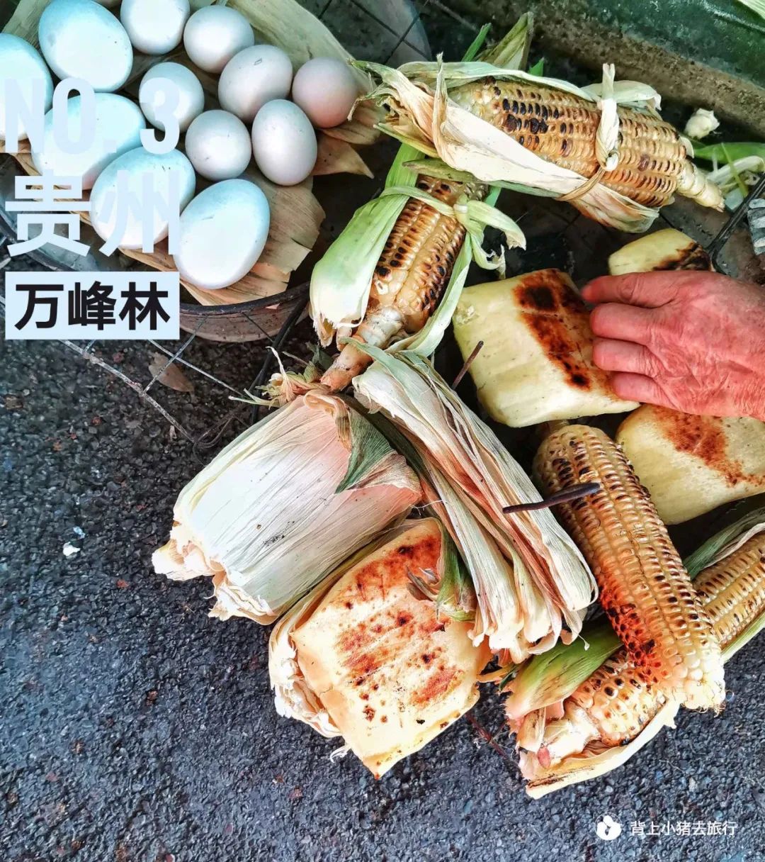 矮寨大桥本地人有优惠吗_大桥自驾攻略旅游矮寨路线_矮寨大桥旅游攻略自驾