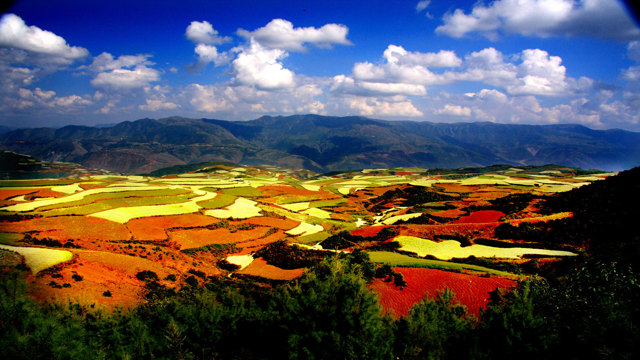 云南东川红土地旅游攻略-云南东川红土地景区