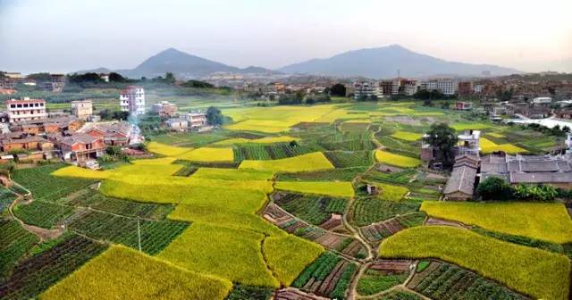 惠屿岛景点_惠屿岛旅游攻略_惠屿岛酒店