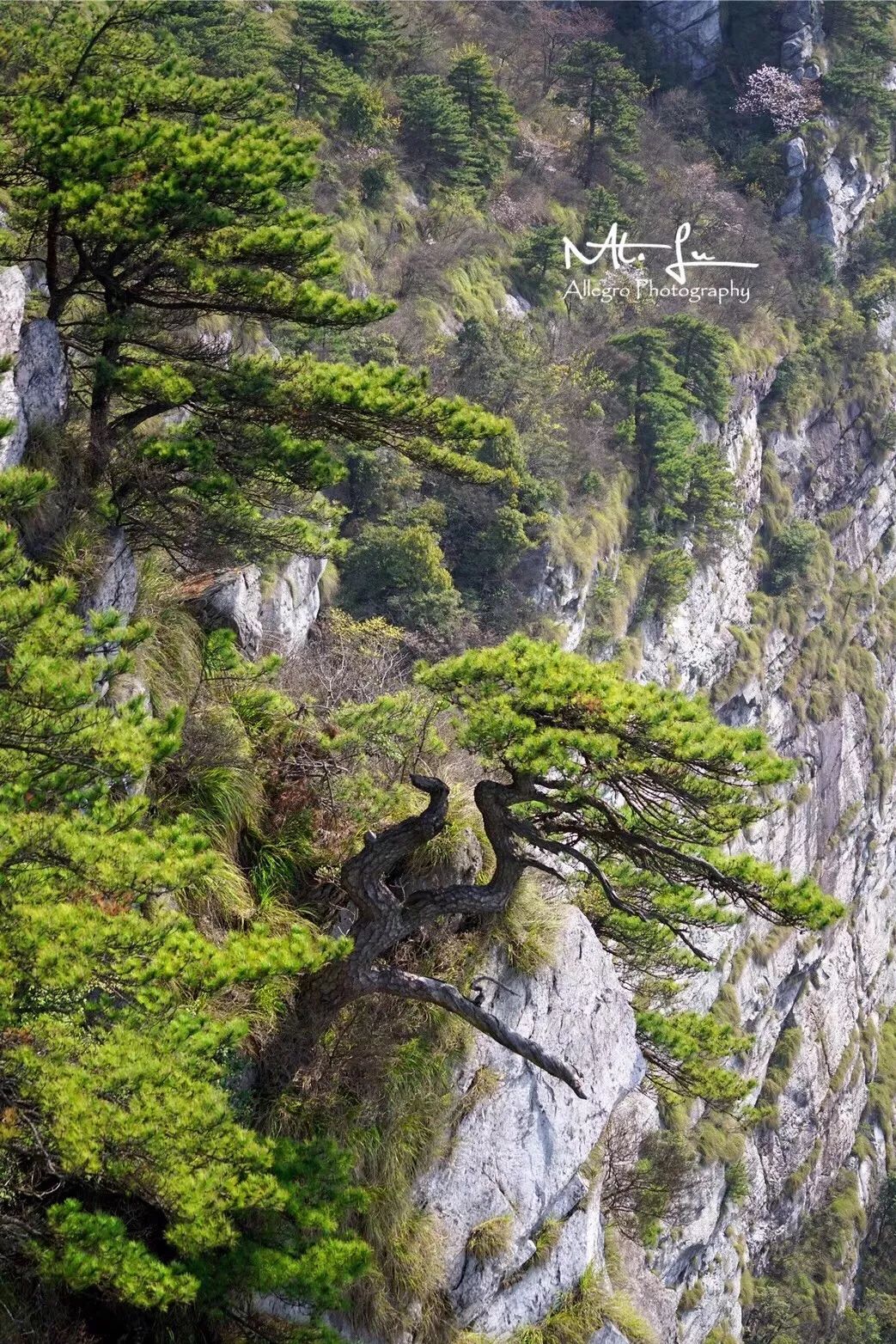 衡阳到井冈山开车要多久_衡阳到井冈山旅游攻略_衡阳去井冈山怎么坐车