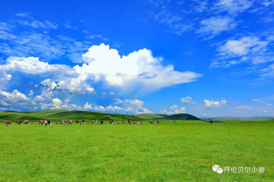 呼伦贝尔旅游攻略必玩的景点_呼伦贝尔旅游攻略线路_呼伦贝尔旅游攻略相关推荐