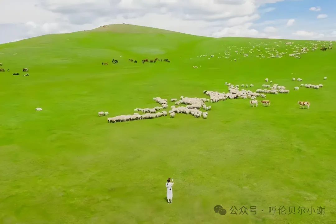 呼伦贝尔旅游攻略线路_呼伦贝尔旅游攻略必玩的景点_呼伦贝尔旅游攻略相关推荐