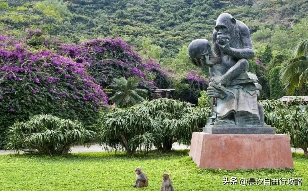 海南白沙县好玩的地方_海南省白沙县旅游攻略_海南白沙县旅游攻略