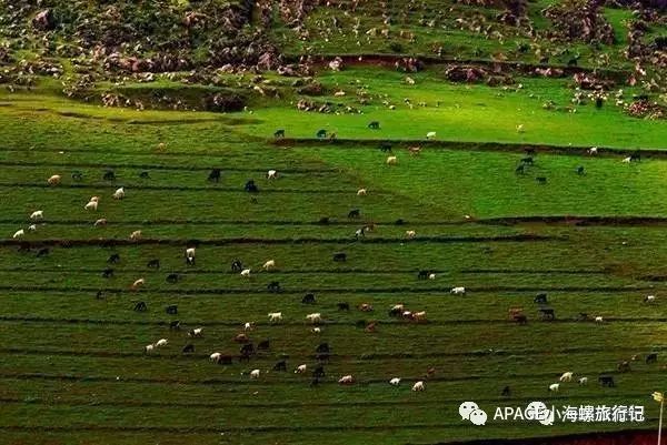 普者黑旅游需要注意什么_普者黑旅游功略_普者黑旅游攻略