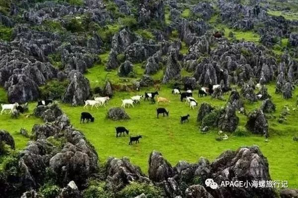 普者黑旅游功略_普者黑旅游需要注意什么_普者黑旅游攻略