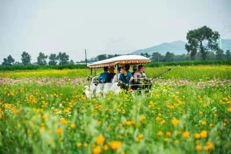 沽源游玩攻略路书_沽源旅游十大景点_沽源旅游攻略