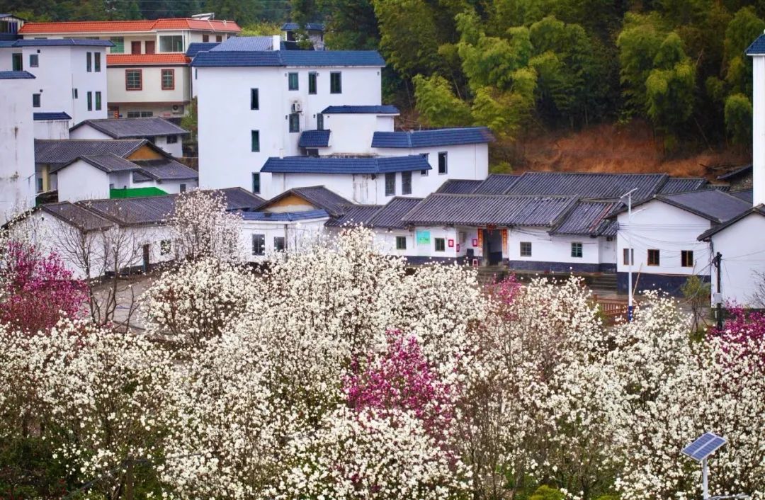 广州从化2日游旅游攻略_广州从化游玩_从化1日游