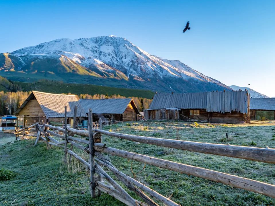 新疆天山旅游攻略_乌鲁木齐天山牧场旅游攻略_商洛九天山旅游攻略