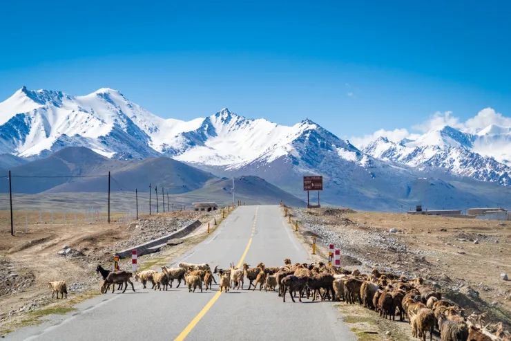 乌鲁木齐天山牧场旅游攻略_商洛九天山旅游攻略_新疆天山旅游攻略