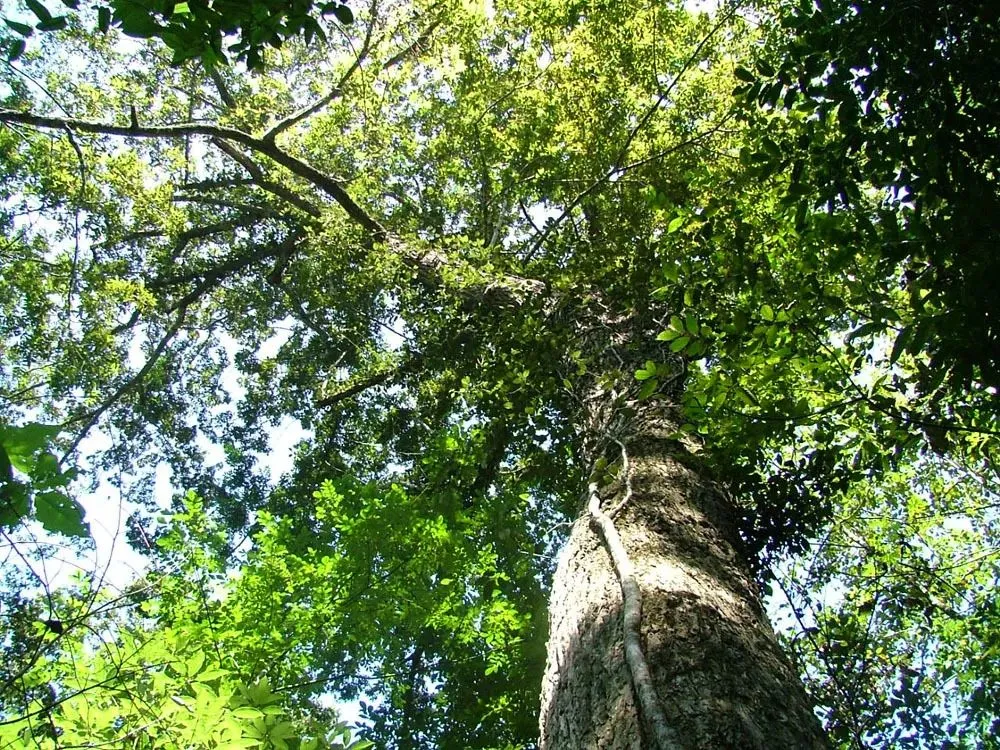 牛姆林旅游路线_牛姆林要门票吗_牛姆林旅游攻略