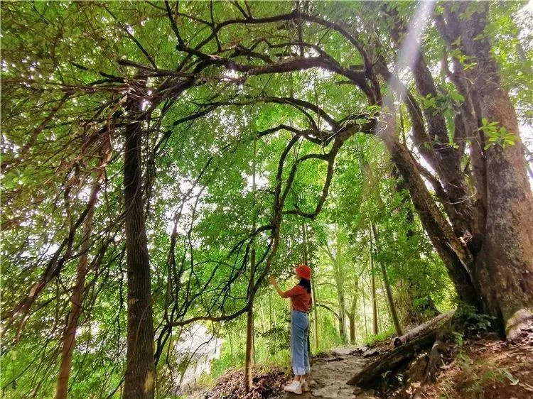 牛姆林旅游路线_牛姆林旅游攻略_牛姆林要门票吗