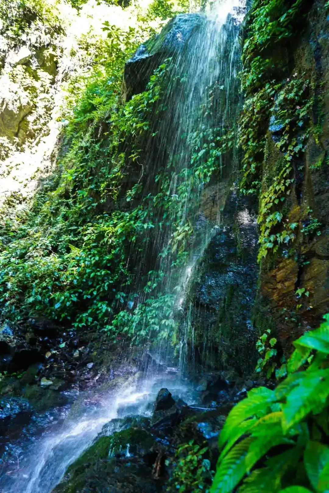 牛姆林旅游路线_牛姆林要门票吗_牛姆林旅游攻略